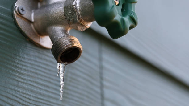 Best Clogged Drain Plumber  in Bay Hill, FL